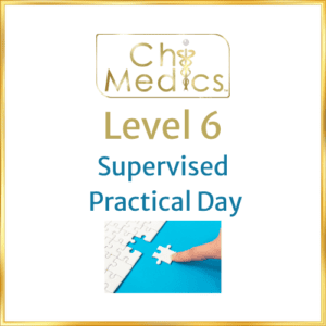 Chi Medics Practitioners Practical Day - Level 6