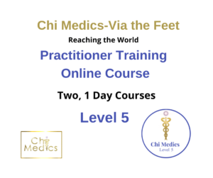 Chi Medics – Via The Feet, Practitioner Training- Payments Levels 3-5 - Image 2