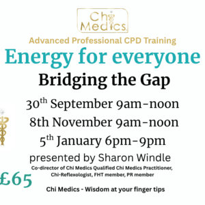 Energy for Everyone - Bridging the Gap