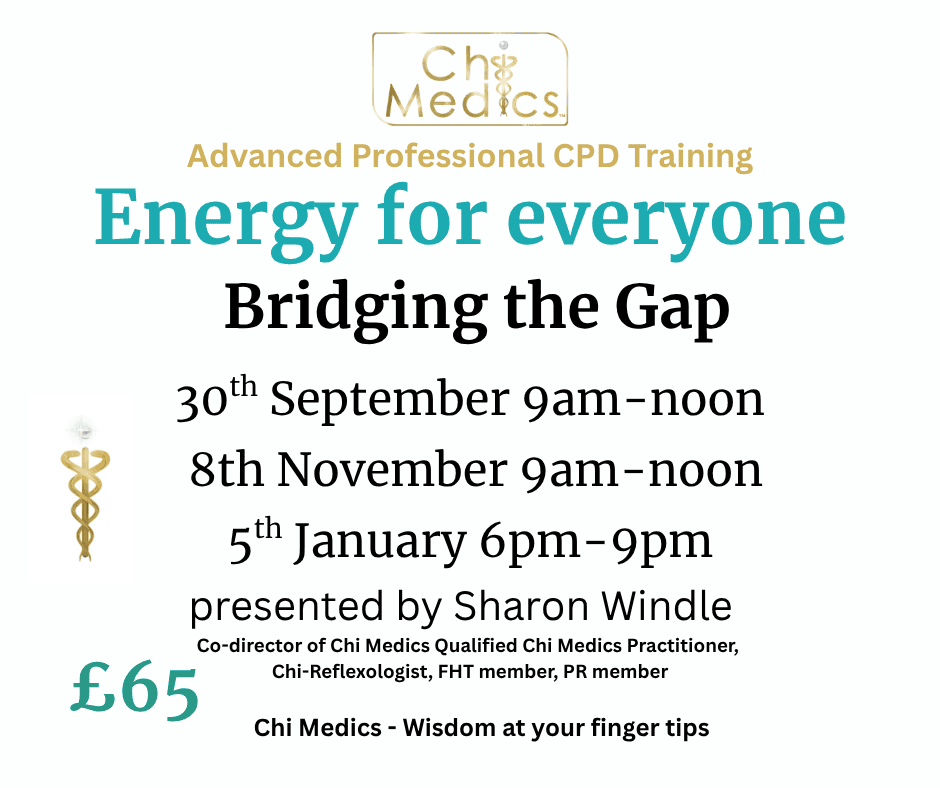 Energy for Everyone - Bridging the Gap