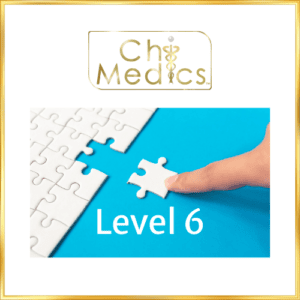 Chi Medics Practitioners Level 6 portal